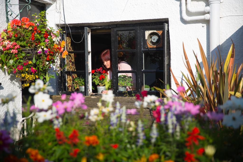 The Cott Inn Totnes Exterior foto